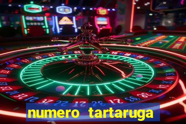 numero tartaruga jogo do bicho